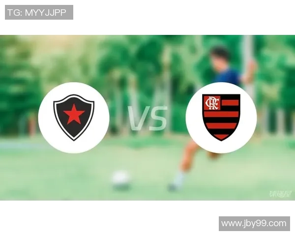 弗拉门戈与博塔弗戈的激烈对决揭示巴西足球的魅力与竞争精神